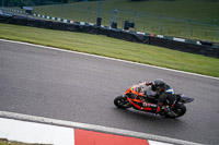 Middle Group Orange Bikes